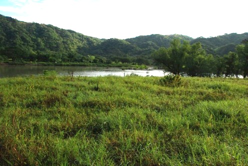 Rio Verde cerca de la comunidad de Paso de la Reina