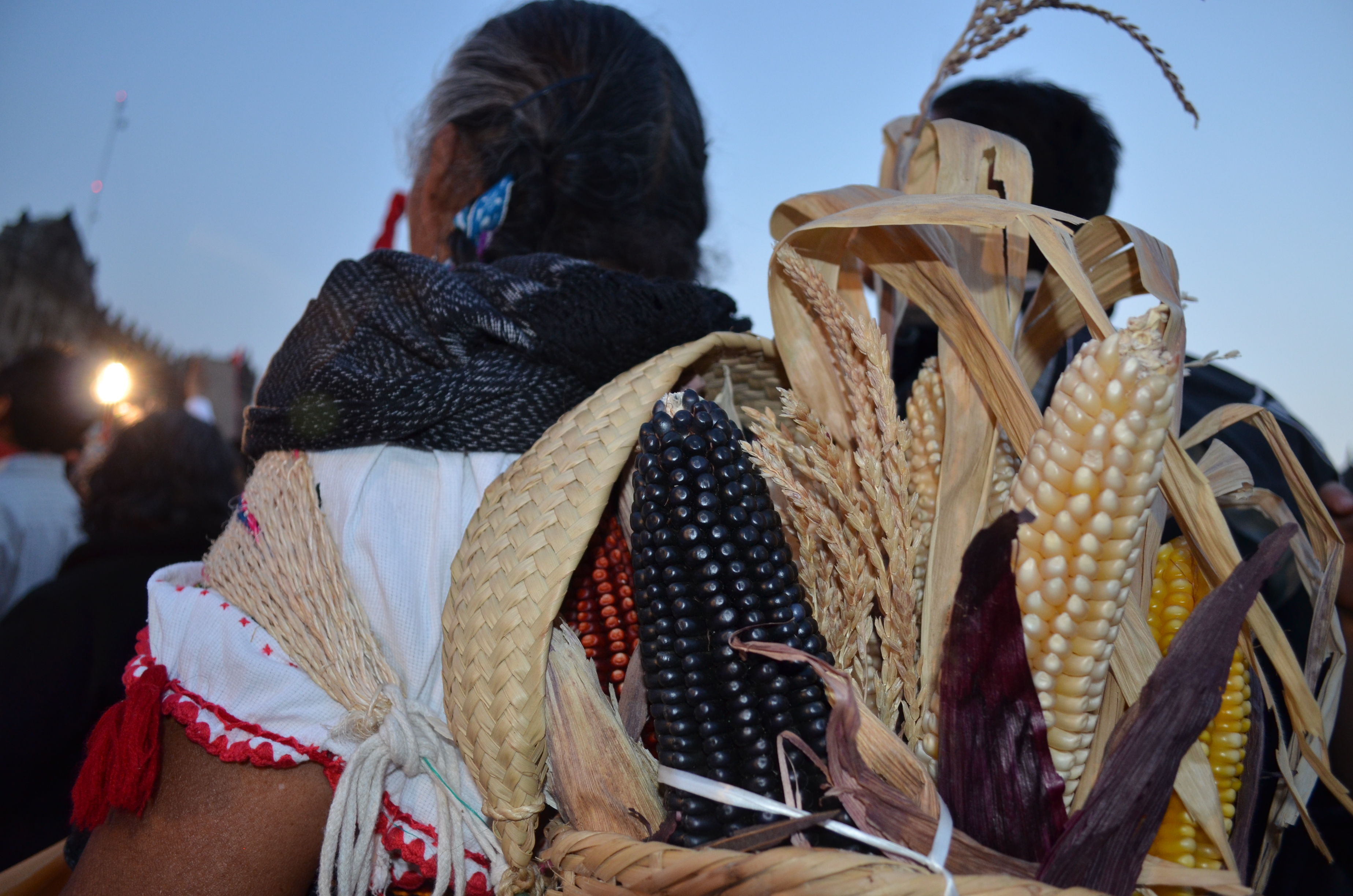 El plan de conquista de Monsanto enfrenta la resistencia azteca