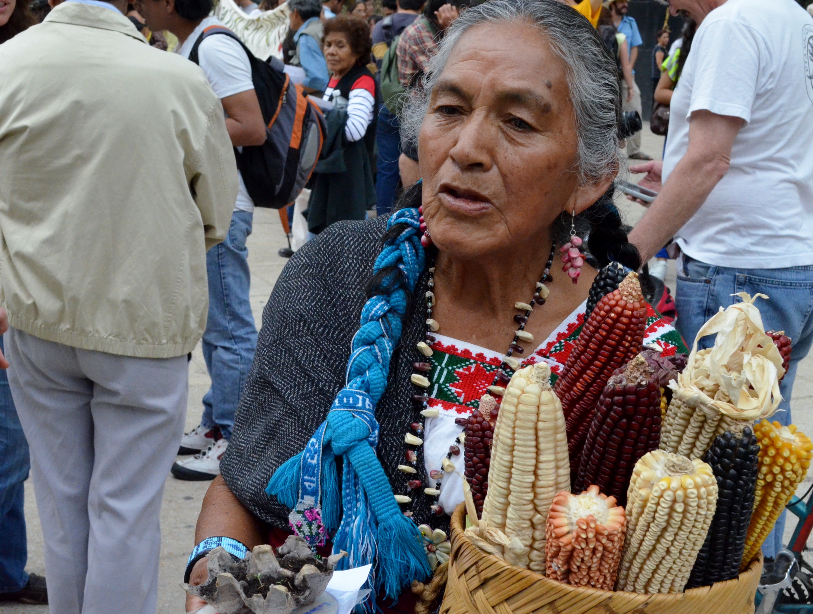 Carnaval del Maíz en México en repudio a Monsanto