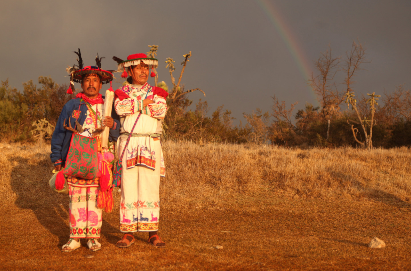 Huichol indigenous People and Desert Dwellers Unite in Defense of Sacred Land