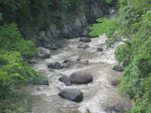 The Gualcarque River near the proposed dam site.