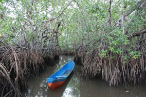 la-canoa