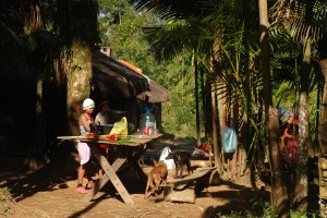 Aldea Guarani-Floresta An_anguera-Ago_2014