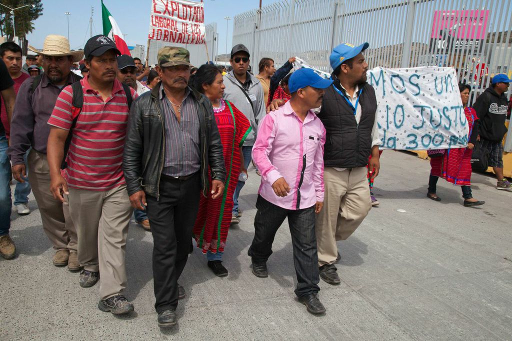 El valle de San Quintín: entre el abuso laboral y la movilización de los jornaleros
