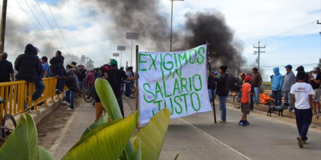 Inicia la cosecha de justicia en San Quintín