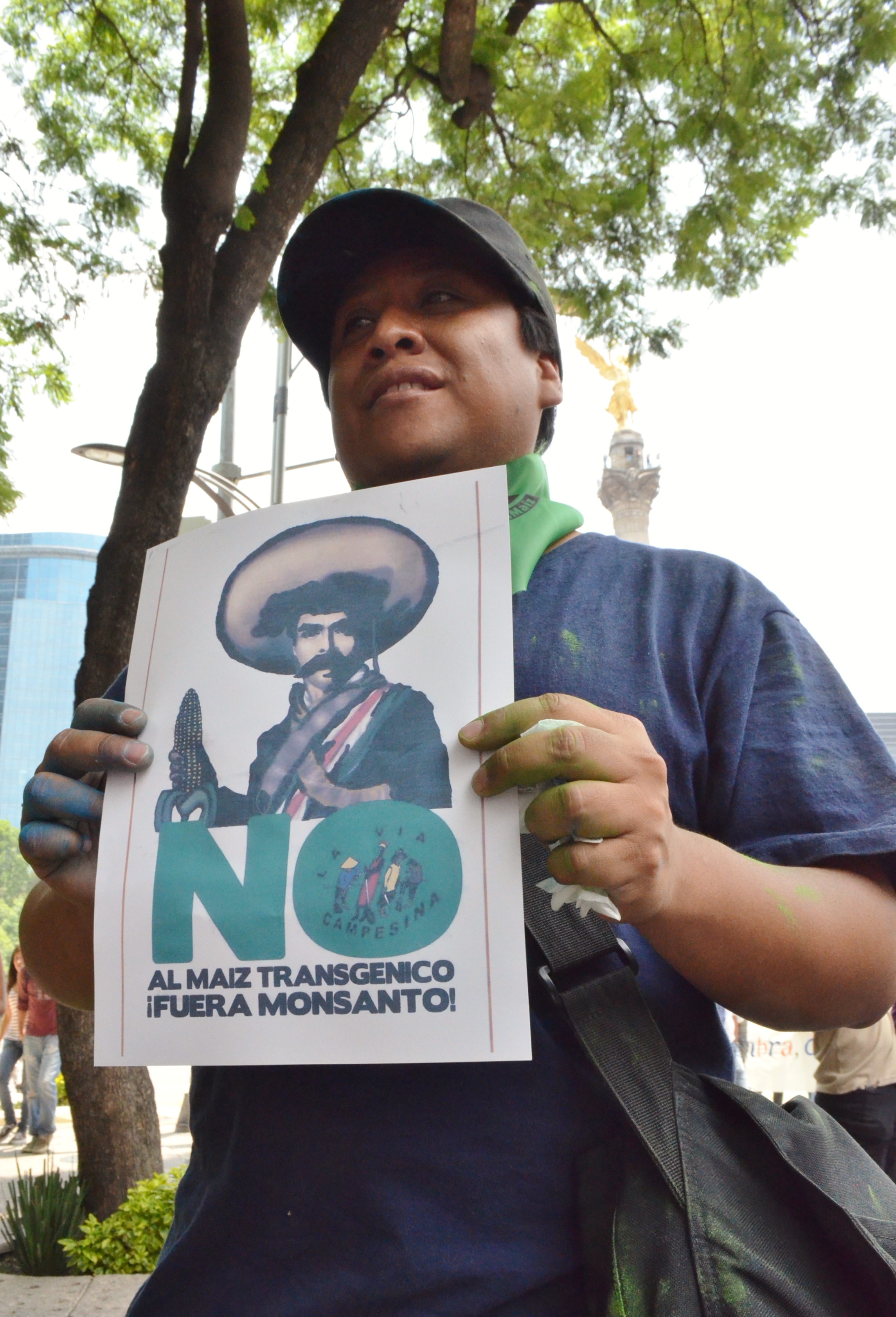 Informe sobre maíz transgénico en México y glifosato
