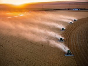 Los tratados de libre comercio impulsan el cambio climático: el factor alimentario
