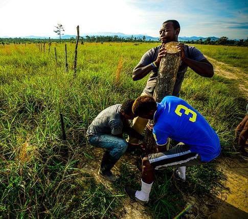 Defendiendo tierra afro-indígena: Organización Fraternal Negra Hondureña gana el Premio de la Soberanía Alimentaria 2015
