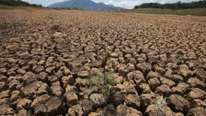 Chile-dolares-Salvador-afectados-sequia_897220540_9865606_667x375