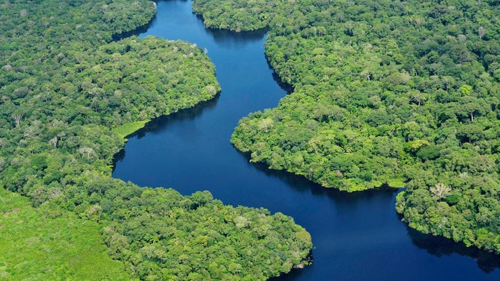 Amazon Jungle Reserve Saved–For Now