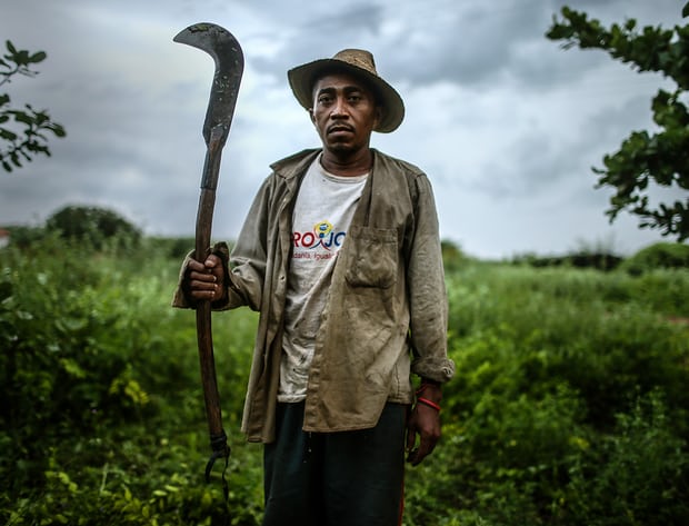 El trabajo esclavo, la deforestación y la codicia llevan al campo brasileño al borde de la crisis