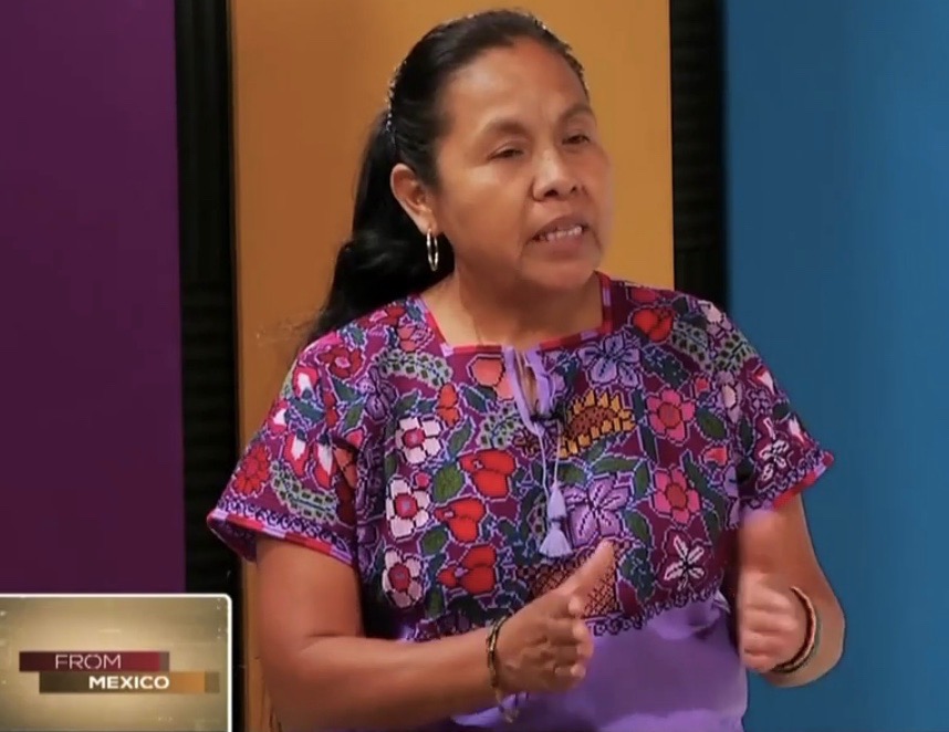 ‘We Have to Participate in this Electoral Process So They’ll Turn Around and See our Peoples’: An Interview With Marichuy