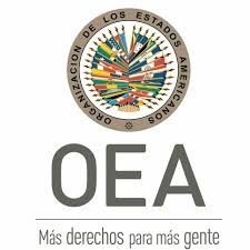 La OEA no debería ser dirigida por entusiastas del cambio de régimen