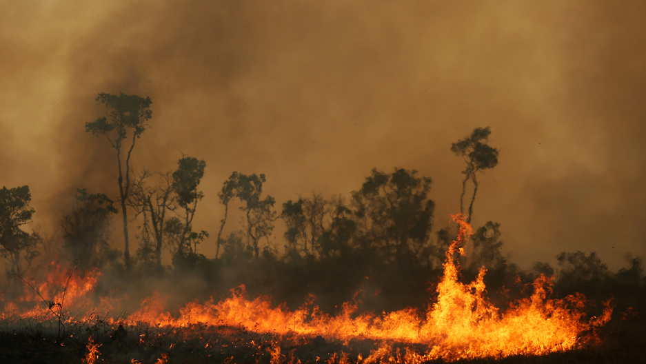 Fires Raging in the Rain Forest Add to Environmental, Economic Crisis for Brazilian Government