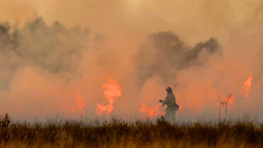 Yaqui pipeline fighters need immediate relief