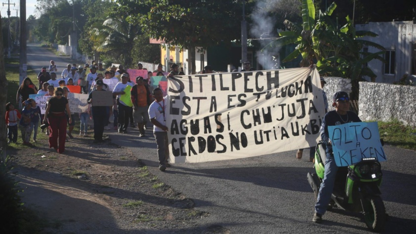 Maya Villagers Resist Mega Hog Farms in Yucatán