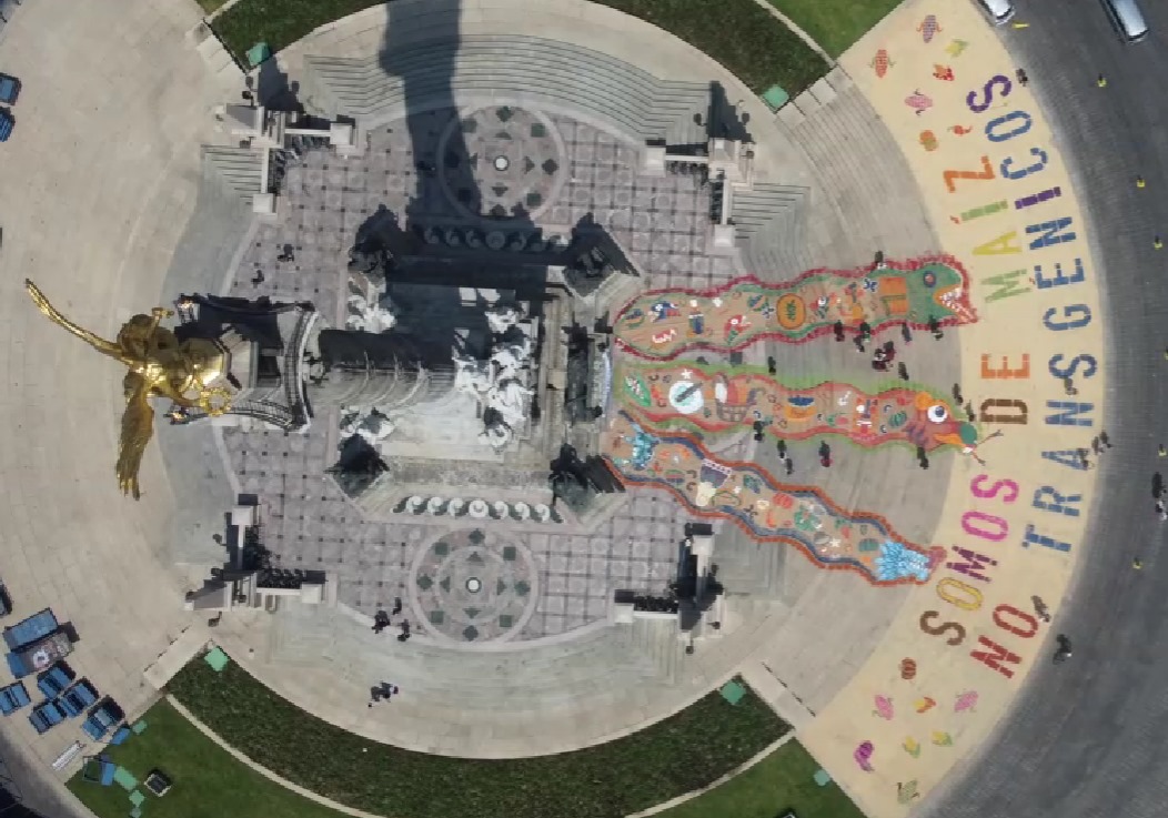 Mira: Feminisms and Democracies. An art intervention in Mexico City made by corn and seeds to celebrate National Day of Maize