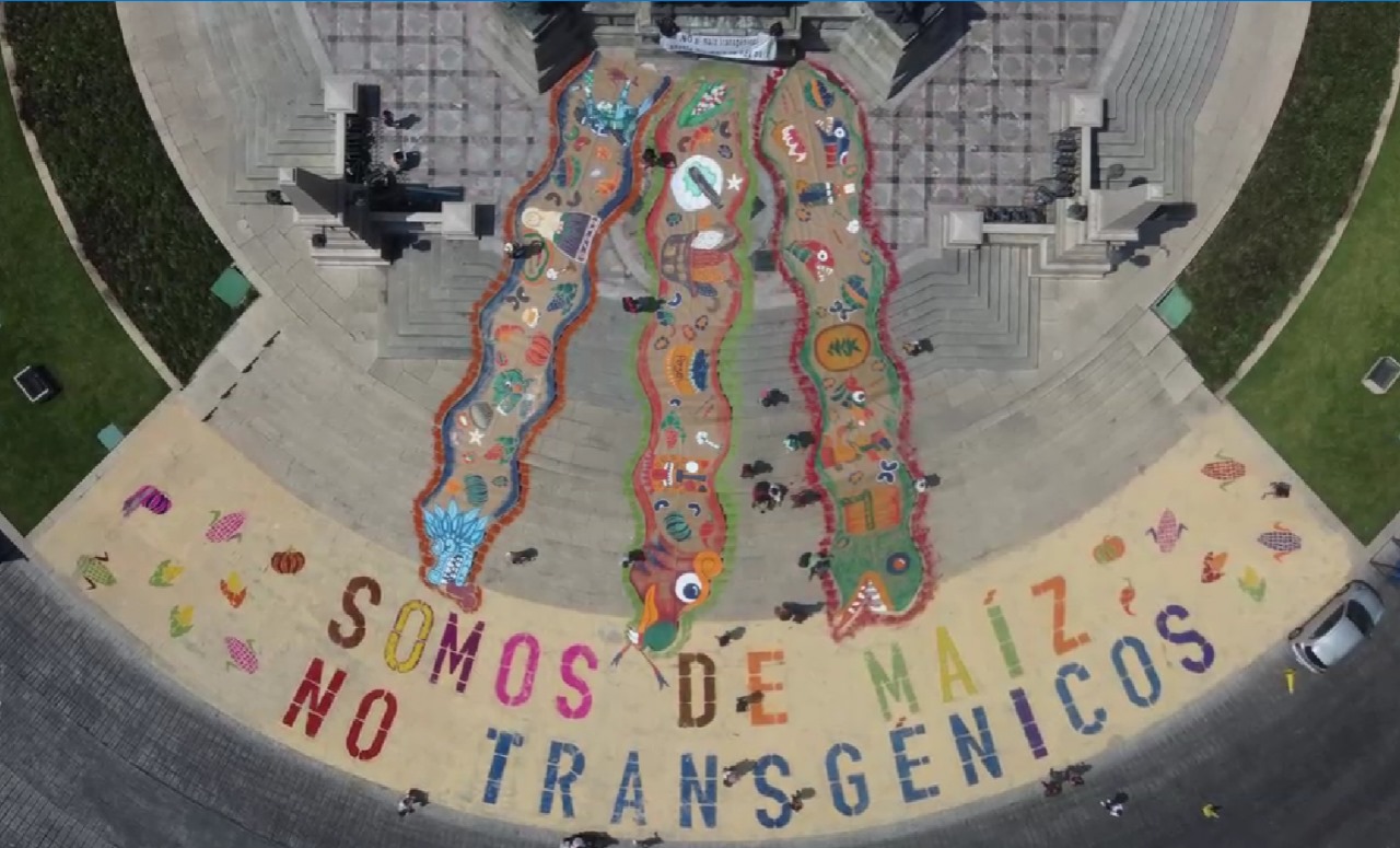 Arte desde el cielo: Somos de maíz: No transgénicos. Mira: feminismos y democracias
